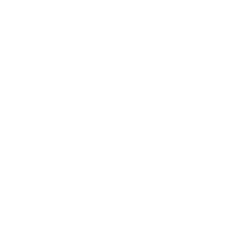 Robyn Steyn's logo